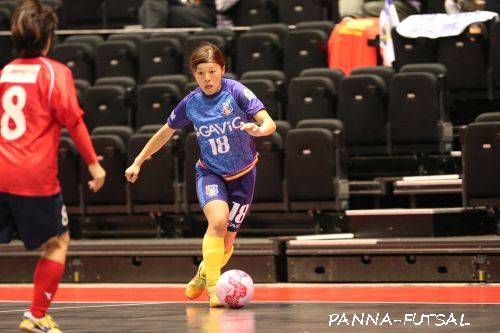 nadeshiko5_2016tr12652.jpg