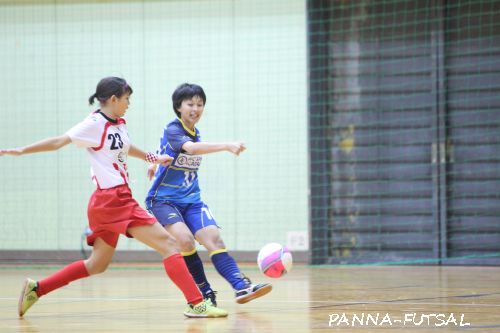 nadeshiko5_2016tr15148.jpg