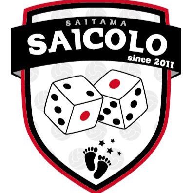 saicolo_logo.jpg